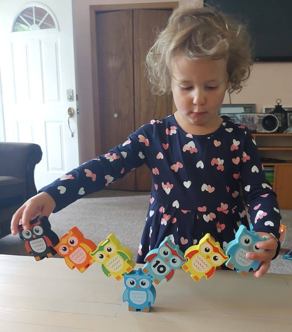 Discovery Toys Stacking Owls Wood Balance Challenge