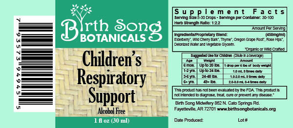 Birth Song Botanicals Co. Children's Respiratory Support Herbal Tincture with Elderberry 1 oz