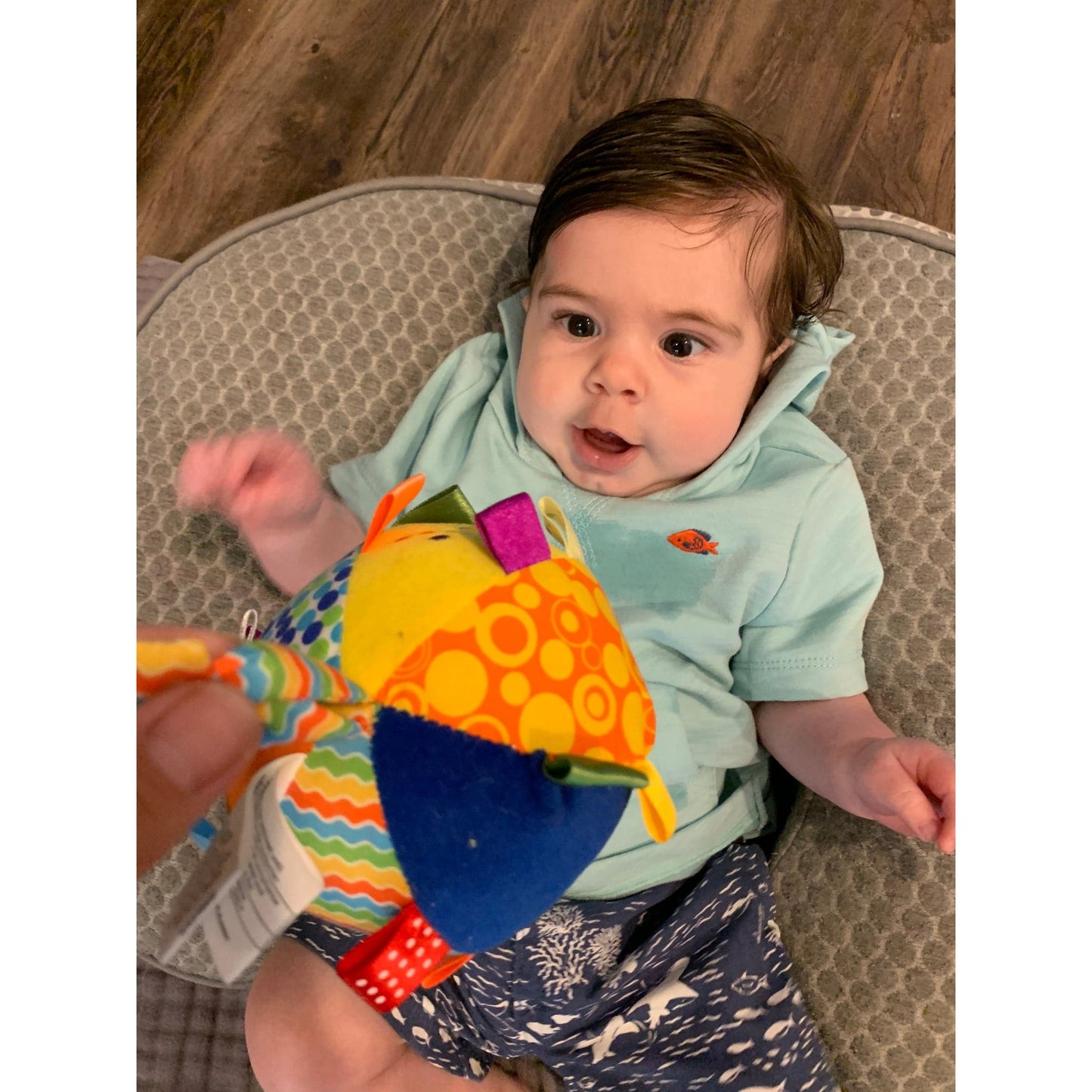 Discovery Toys Rainbow Ribbons Plush Infant Sensory Toy