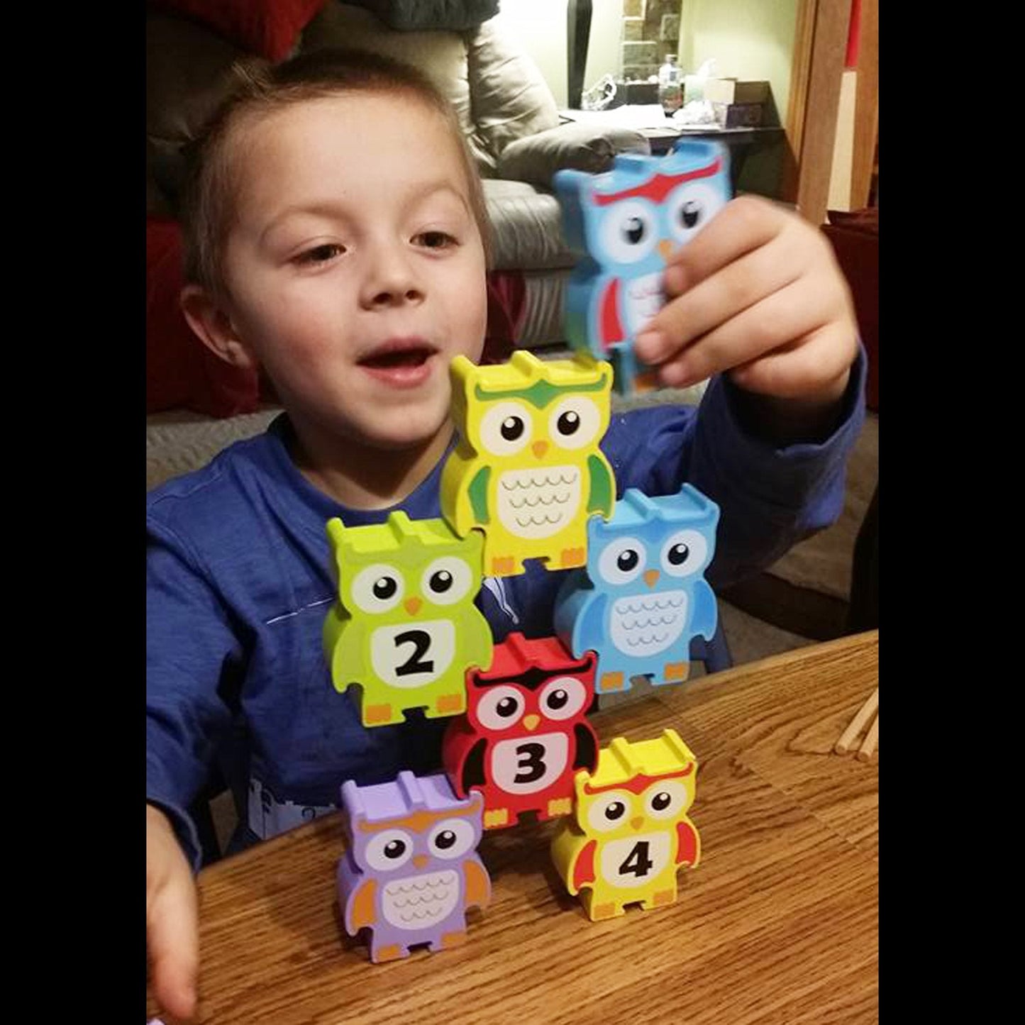 Discovery Toys Stacking Owls Wood Balance Challenge