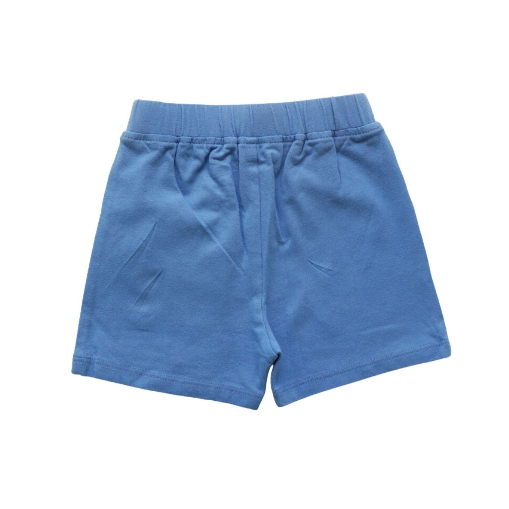 variant:color=Cornflower Blue