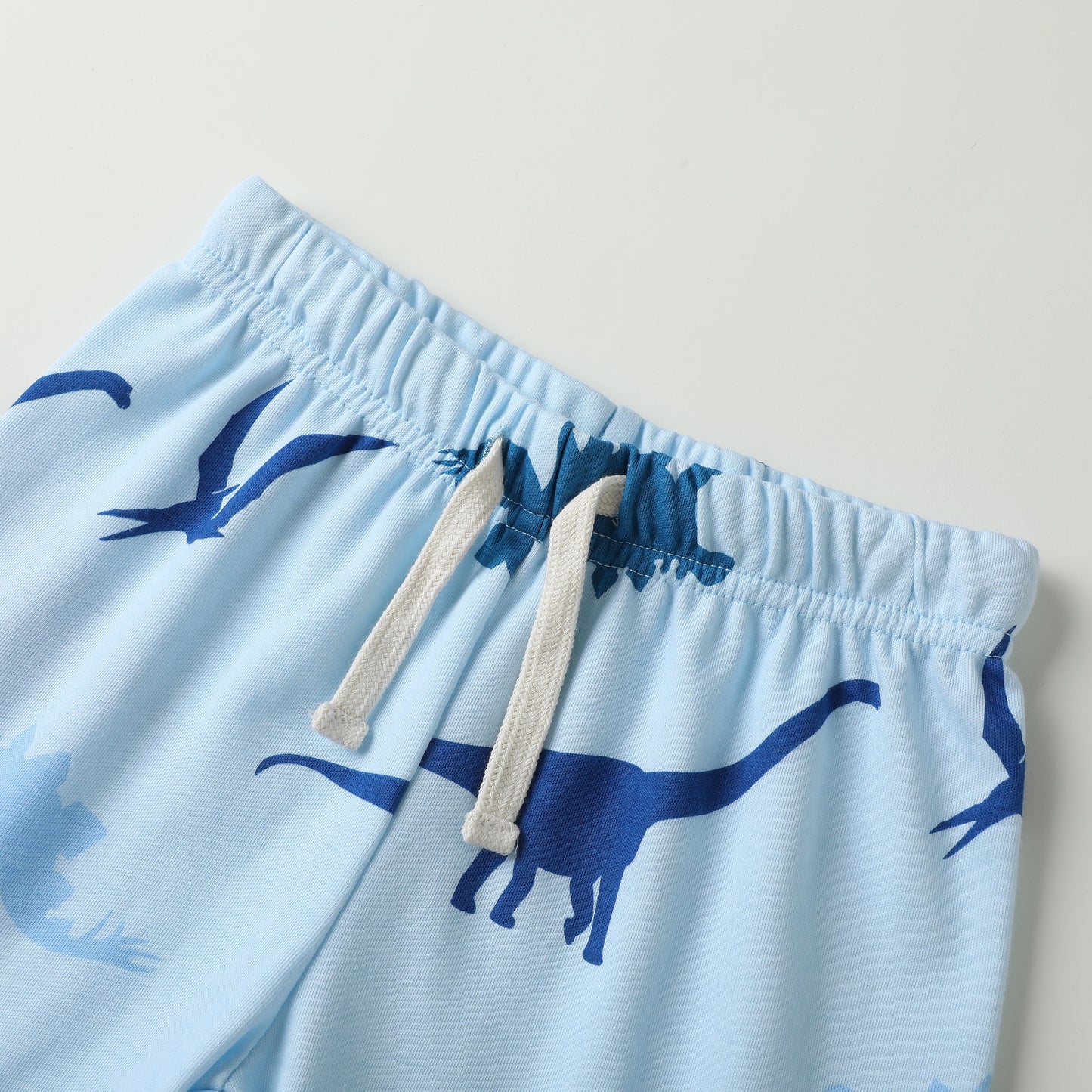 100% Organic Cotton Toddler Summer 2 Piece short sleeve Pajama Set - Blue Dinosaur