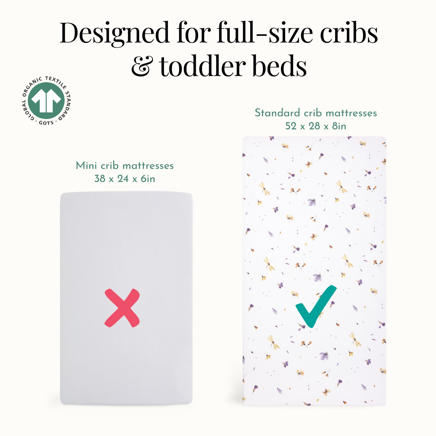 Evolur Be Wild 3 pc Toddler Set