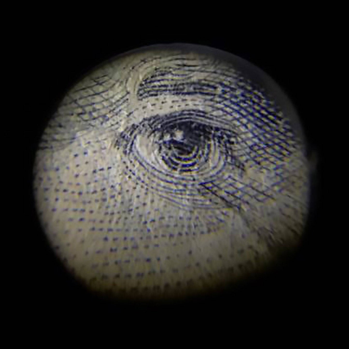 Discovery Toys Explore It! Handheld Microscope