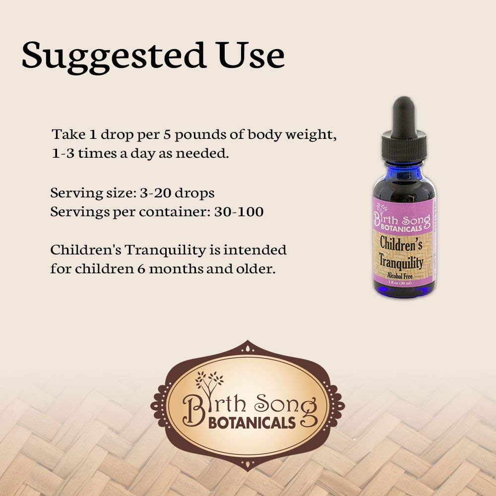 Birth Song Botanicals Co. Children's Tranquility, Children's Sleep Aid Relaxing Herbal Tincture 1 oz.