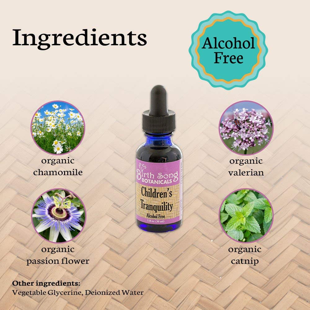 Birth Song Botanicals Co. Children's Tranquility, Children's Sleep Aid Relaxing Herbal Tincture 1 oz.