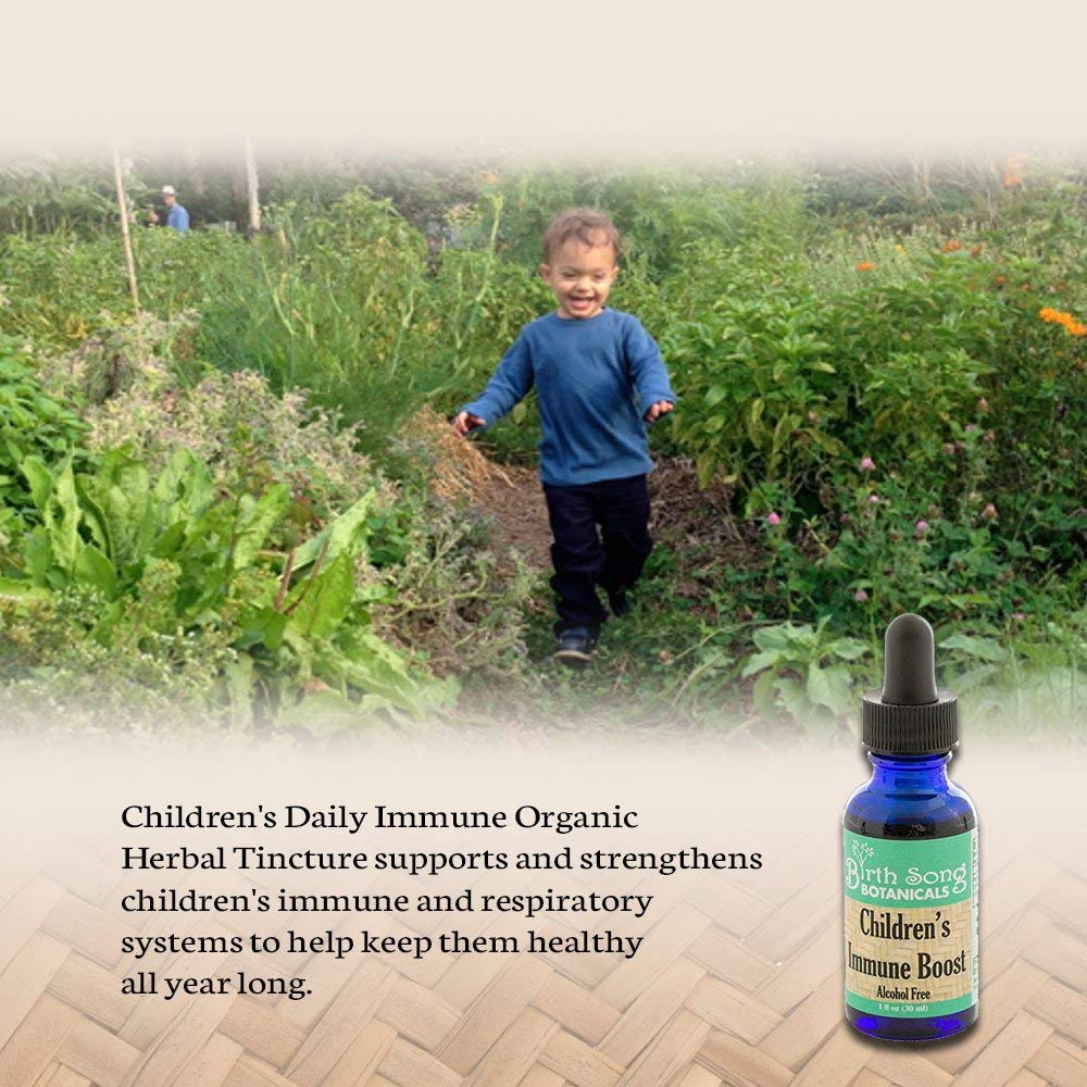 Birth Song Botanicals Co. Children's Immune Booster Tincture*  with Organic Echinacea 1 oz.