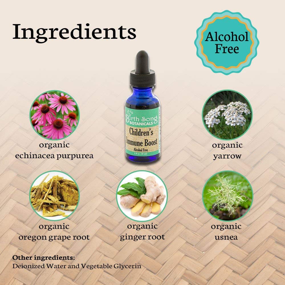 Birth Song Botanicals Co. Children's Immune Booster Tincture*  with Organic Echinacea 1 oz.