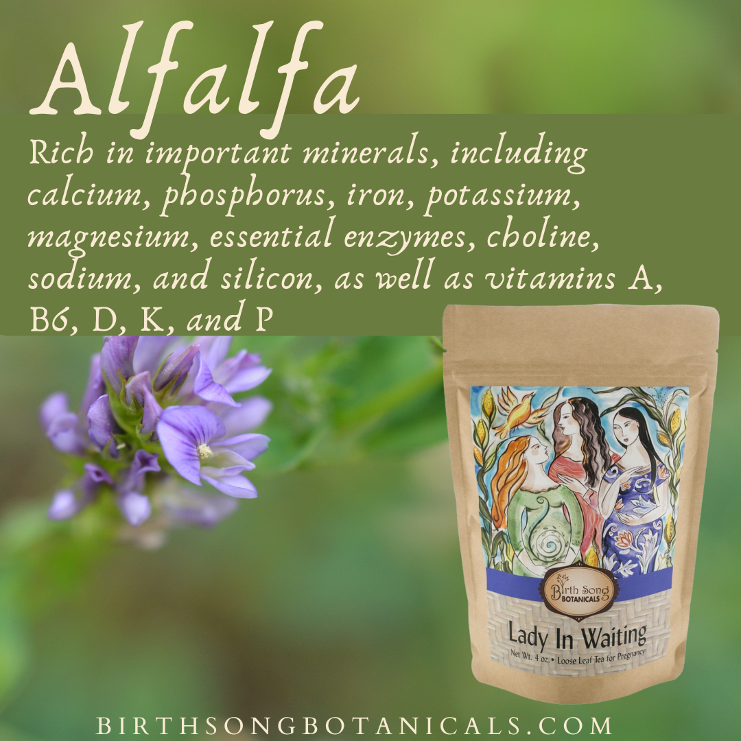 Birth Song Botanicals Co. Lady in Waiting- Herbal Pregnancy Tea with Red Raspberry Leaf 3 oz.