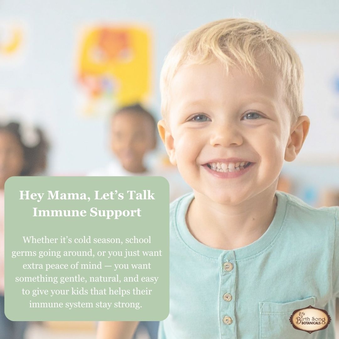 Birth Song Botanicals Co. Children's Immune Booster Tincture*  with Organic Echinacea 1 oz.