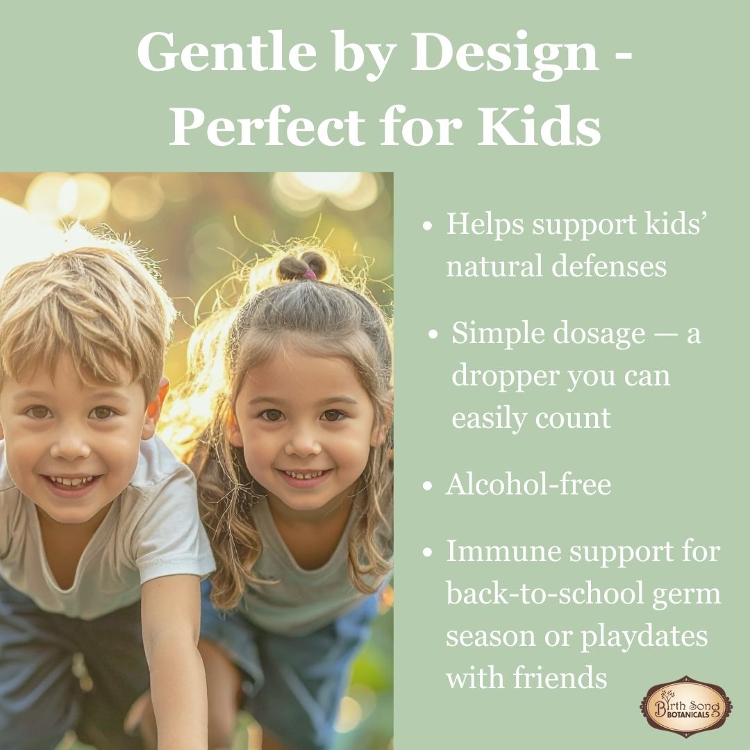 Birth Song Botanicals Co. Children's Immune Booster Tincture*  with Organic Echinacea 1 oz.