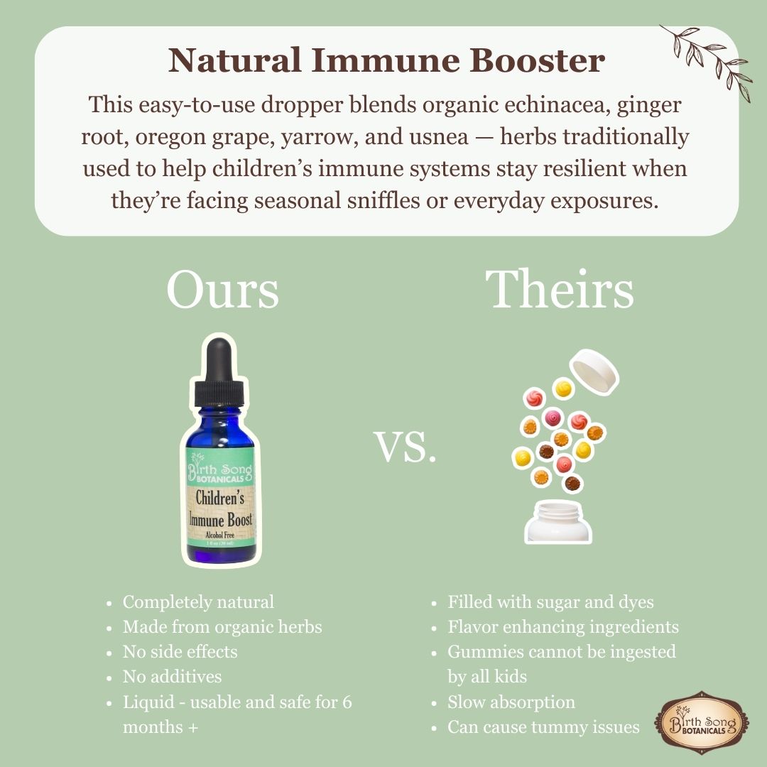 Birth Song Botanicals Co. Children's Immune Booster Tincture*  with Organic Echinacea 1 oz.