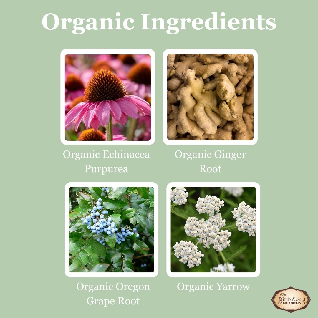 Birth Song Botanicals Co. Children's Immune Booster Tincture*  with Organic Echinacea 1 oz.