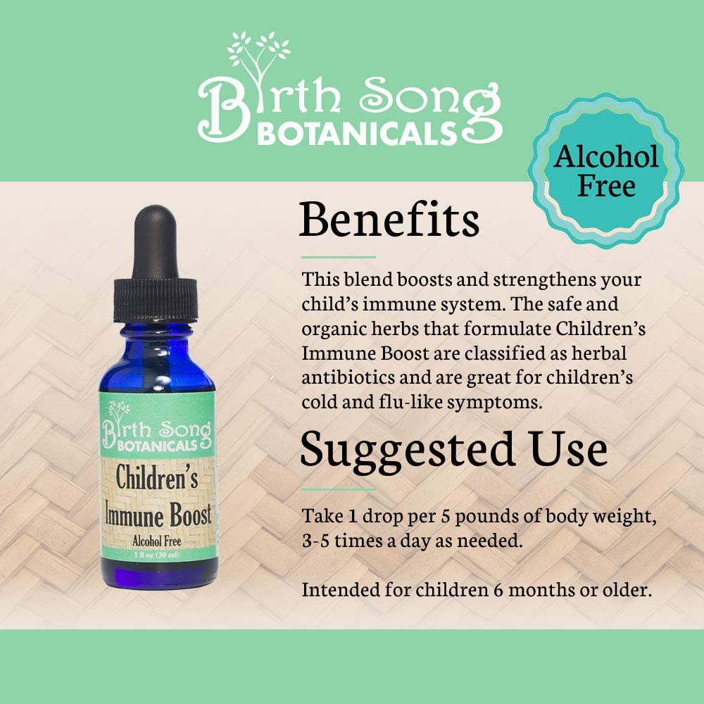 Birth Song Botanicals Co. Children's Immune Booster Tincture*  with Organic Echinacea 1 oz.