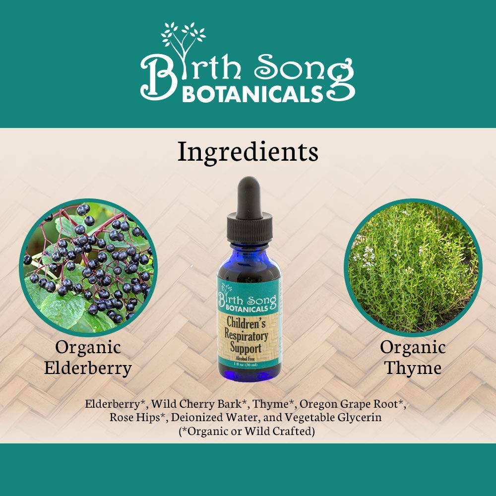 Birth Song Botanicals Co. Children's Respiratory Support Herbal Tincture with Elderberry 1 oz