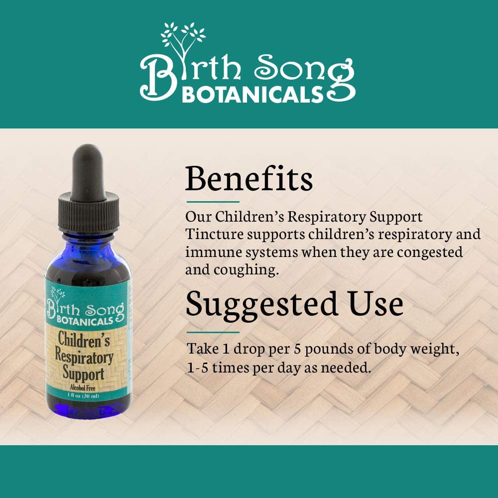Birth Song Botanicals Co. Children's Respiratory Support Herbal Tincture with Elderberry 1 oz