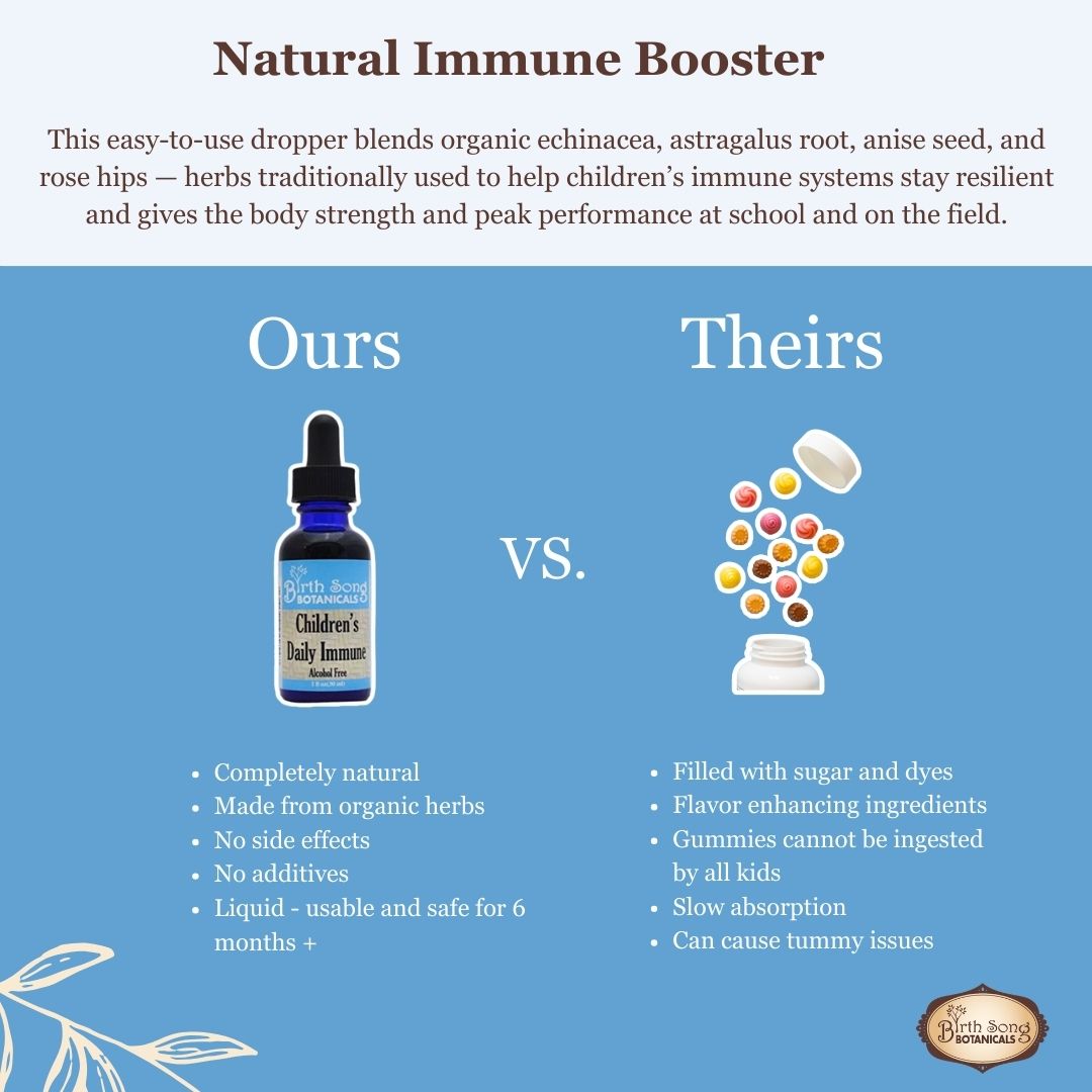 Birth Song Botanicals Co. Children’s Daily Immune Herbal Tincture with Astragalus Root | Kids Immune Support 1 oz
