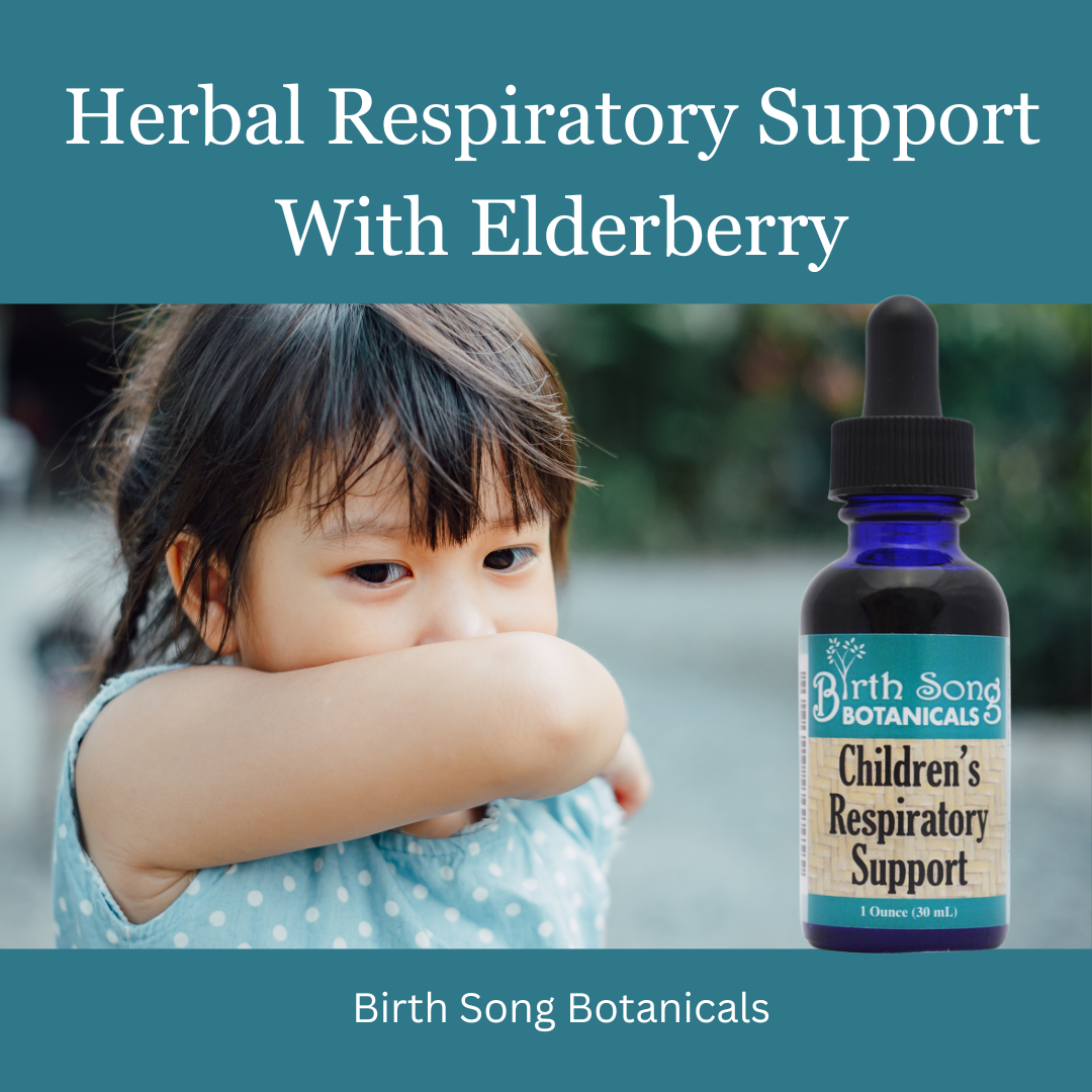 Birth Song Botanicals Co. Children's Respiratory Support Herbal Tincture with Elderberry 1 oz