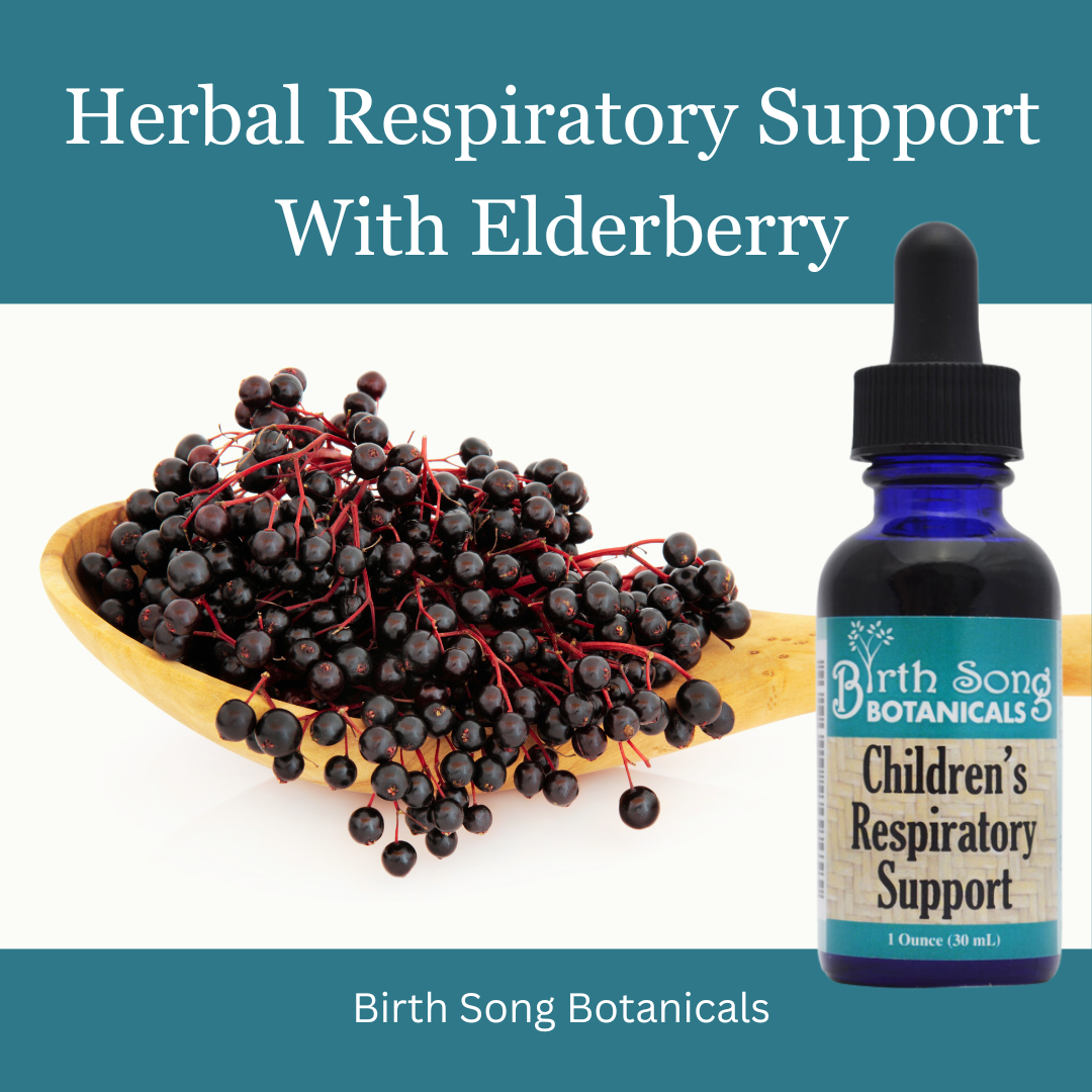 Birth Song Botanicals Co. Children's Respiratory Support Herbal Tincture with Elderberry 1 oz