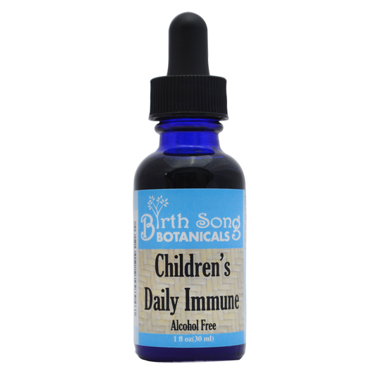 Birth Song Botanicals Co. Children’s Daily Immune Herbal Tincture with Astragalus Root | Kids Immune Support 1 oz