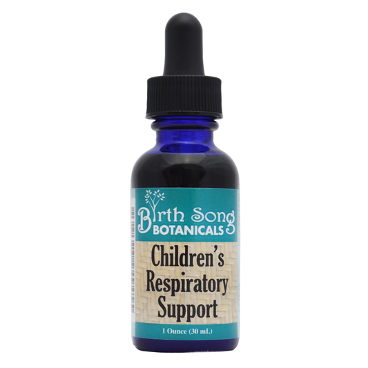 Birth Song Botanicals Co. Children's Respiratory Support Herbal Tincture with Elderberry 1 oz