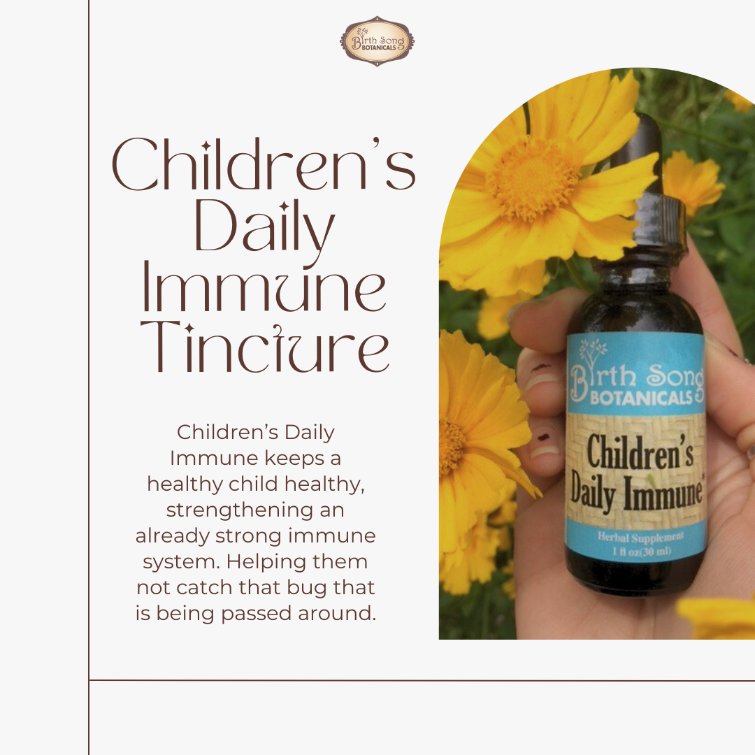 Birth Song Botanicals Co. Children’s Daily Immune Herbal Tincture with Astragalus Root | Kids Immune Support 1 oz