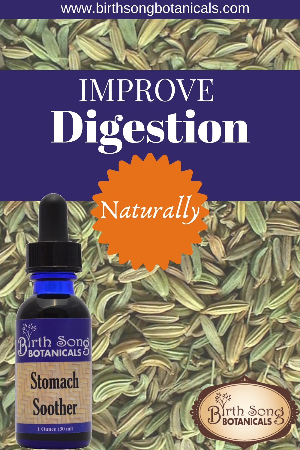 Birth Song Botanicals Co. Stomach Soother Herbal Colic Drops for Babies