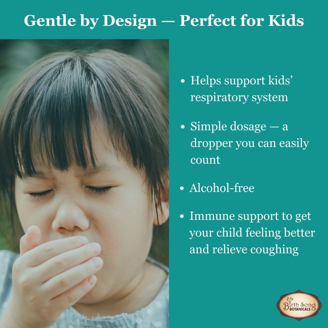 Birth Song Botanicals Co. Children's Respiratory Support Herbal Tincture with Elderberry 1 oz