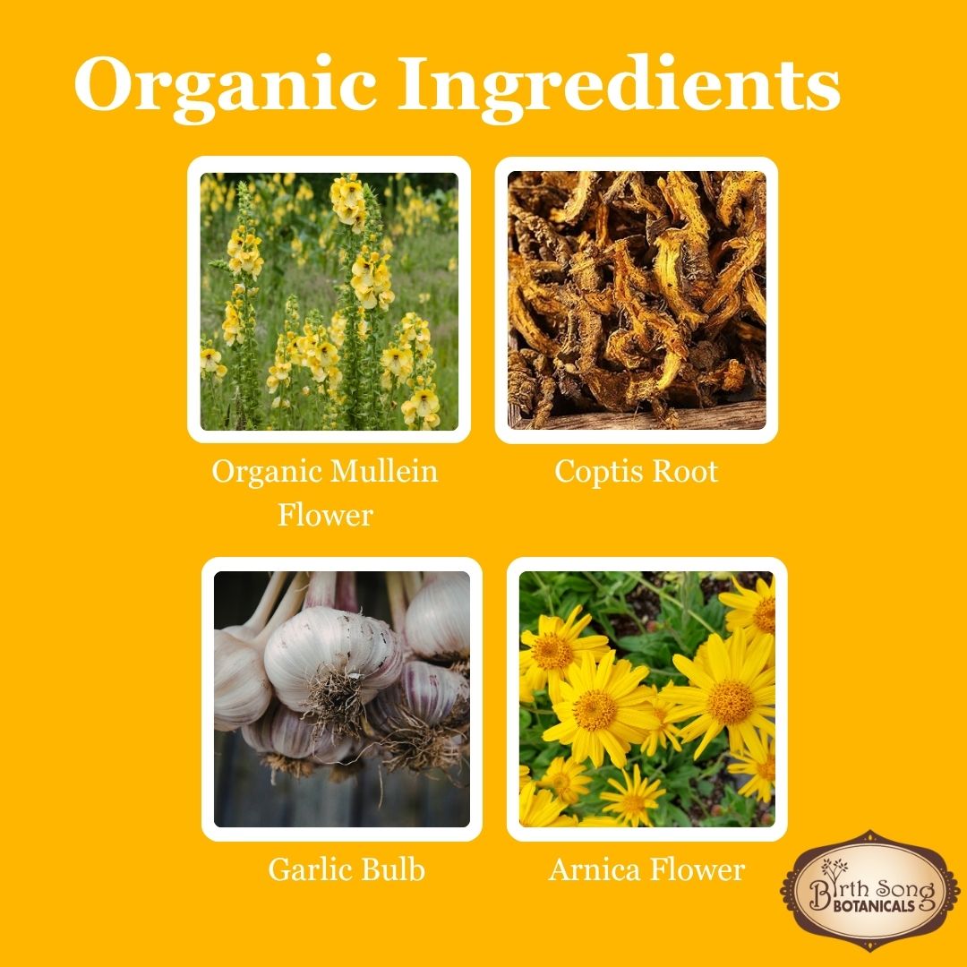 Birth Song Botanicals Co. Herbal Earache Relief Oil Blended with Garlic and Mullein Flowers 1 oz
