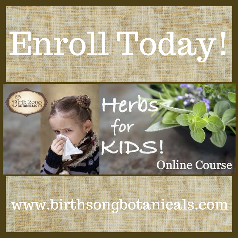 Birth Song Botanicals Co. Children's Tranquility, Children's Sleep Aid Relaxing Herbal Tincture 1 oz.