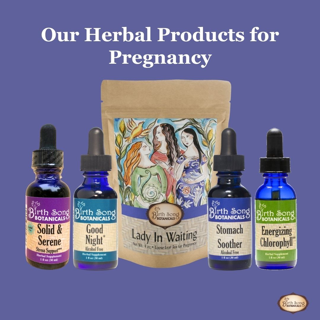 Birth Song Botanicals Co. Lady in Waiting- Herbal Pregnancy Tea with Red Raspberry Leaf 3 oz.