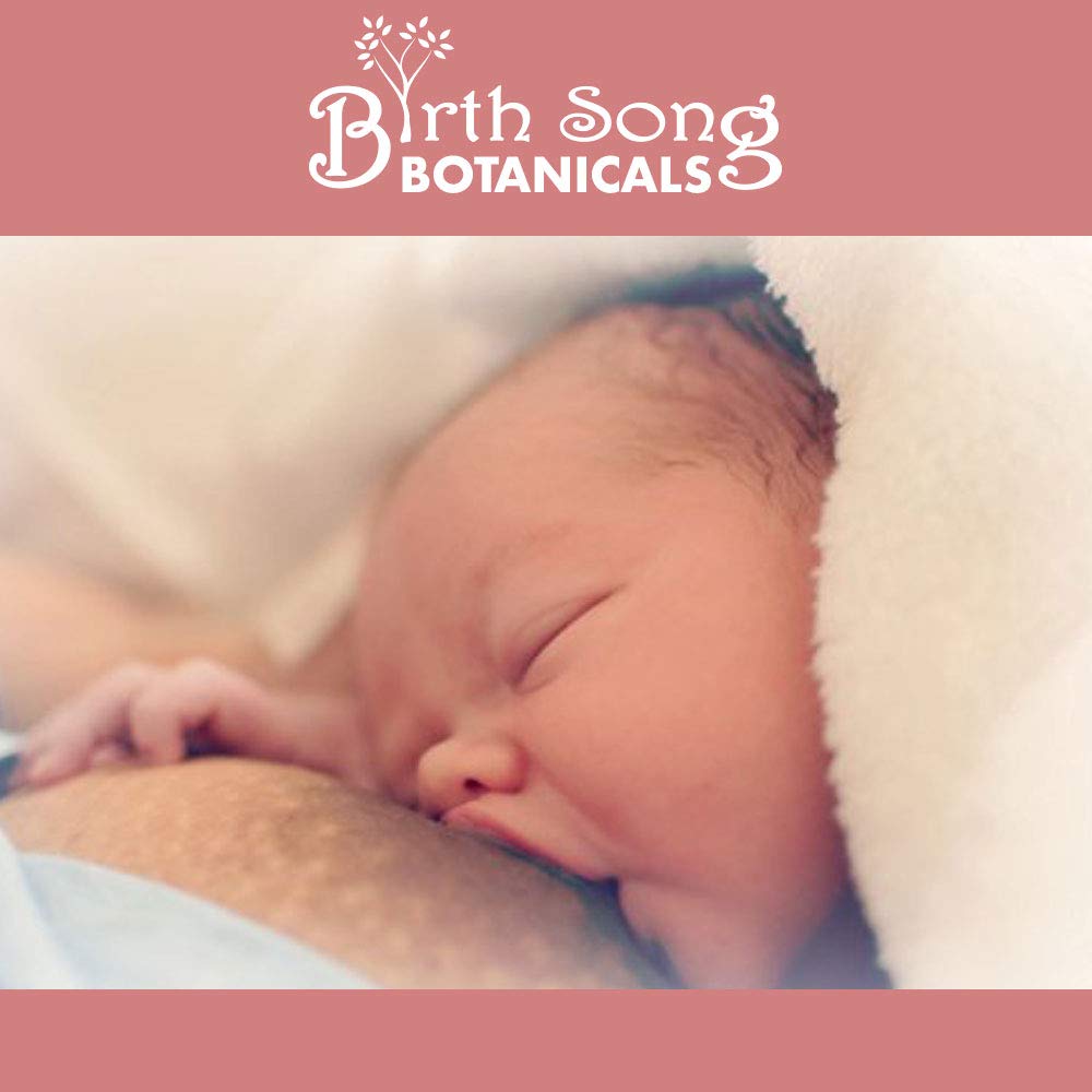 Birth Song Botanicals Co. Nipple Salve Herbal Nipple Cream for Breastfeeding Comfort, Unscented