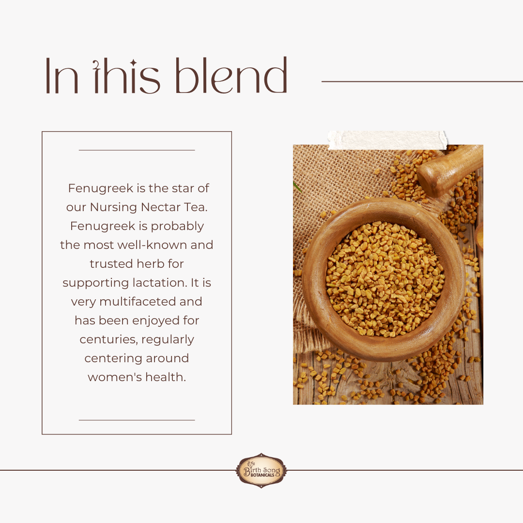 Birth Song Botanicals Co. Nursing Nectar Herbal Breastfeeding Tea For Healthy Breastmilk Supply