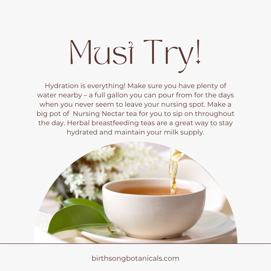 Birth Song Botanicals Co. Nursing Nectar Herbal Breastfeeding Tea For Healthy Breastmilk Supply