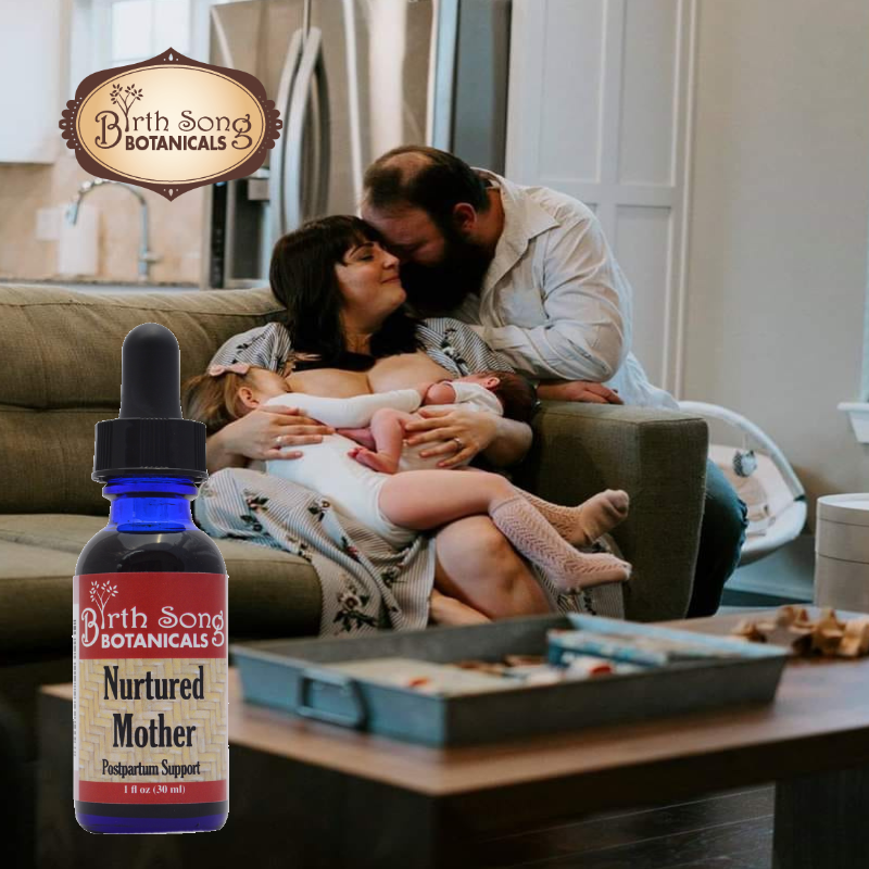 Birth Song Botanicals Co. Nurtured Mother Postpartum Supplement for After Birth Cramps 1 oz.