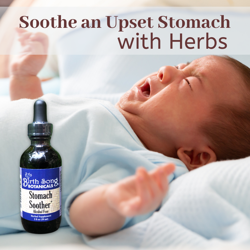 Birth Song Botanicals Co. Stomach Soother Herbal Colic Drops for Babies