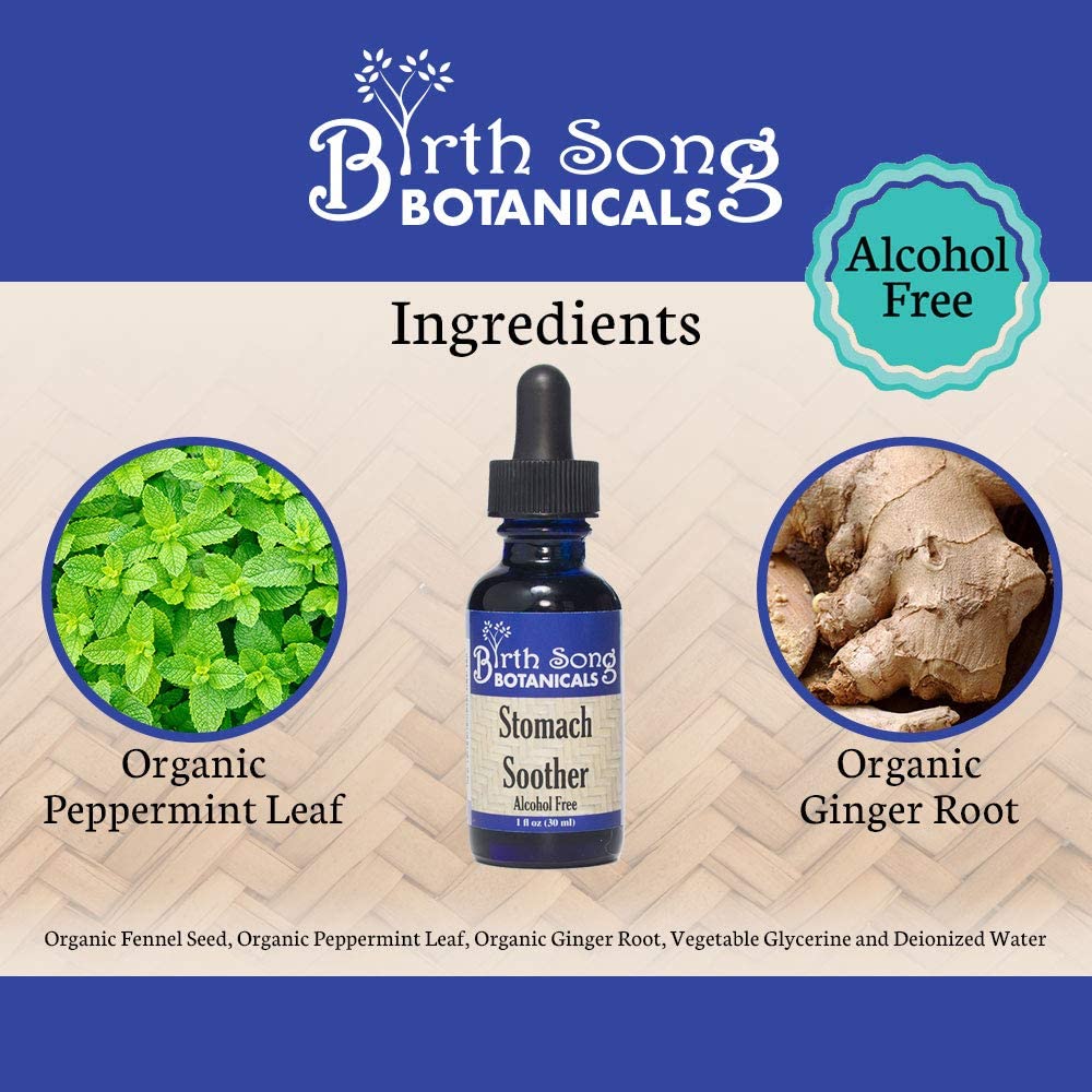 Birth Song Botanicals Co. Stomach Soother Herbal Colic Drops for Babies