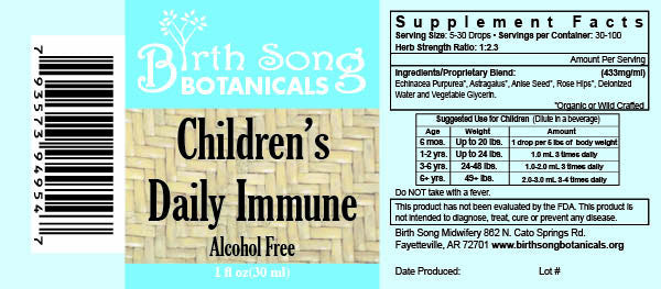 Birth Song Botanicals Co. Children’s Daily Immune Herbal Tincture with Astragalus Root | Kids Immune Support 1 oz