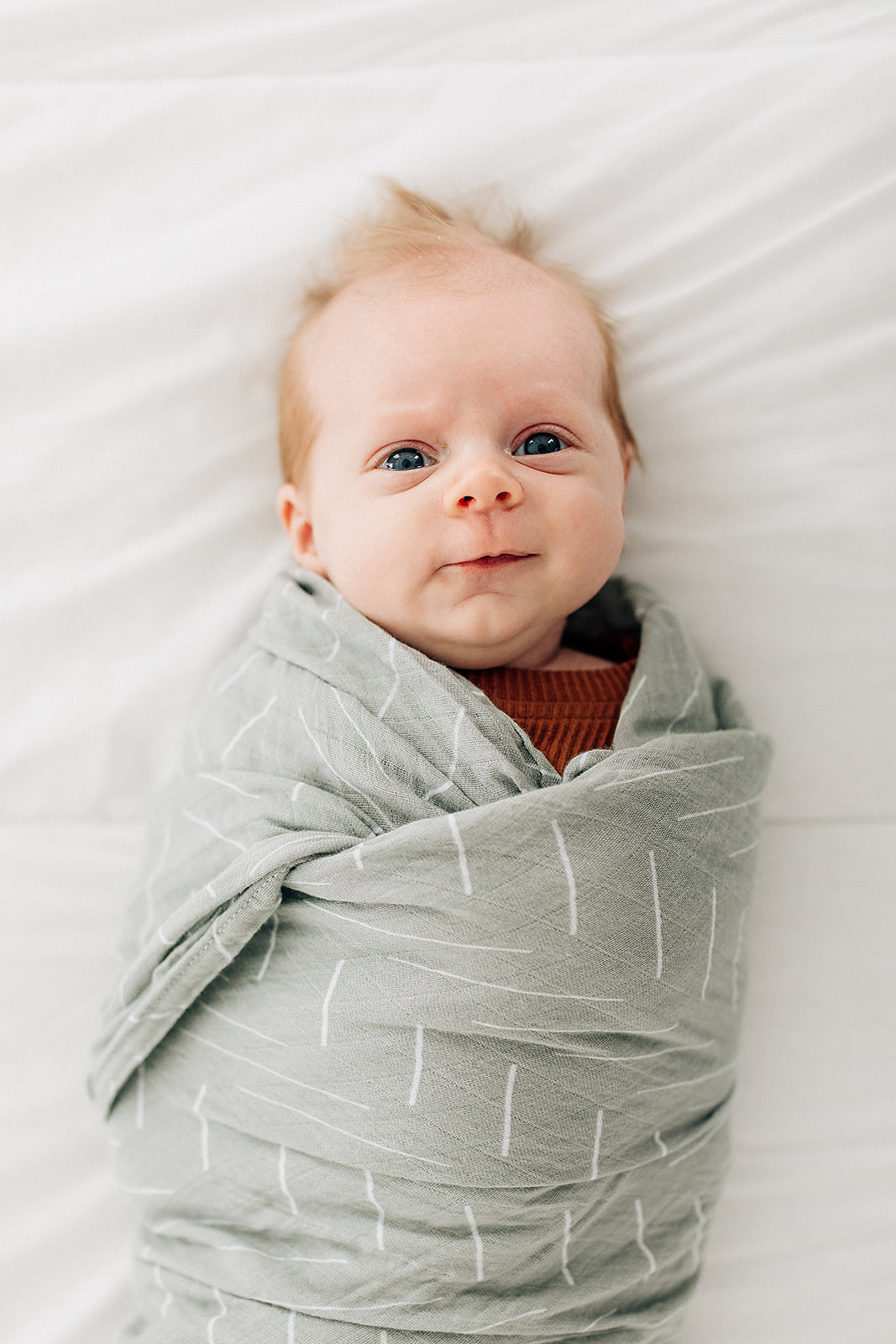 variant:all
