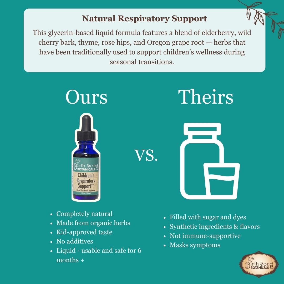 Birth Song Botanicals Co. Children's Respiratory Support Herbal Tincture with Elderberry 1 oz