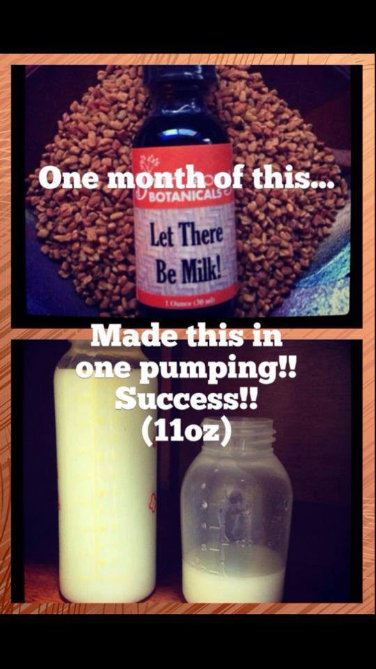 Birth Song Botanicals Co. Let There Be Milk! Breastfeeding Herbal Supplement For Lactation 1 oz.