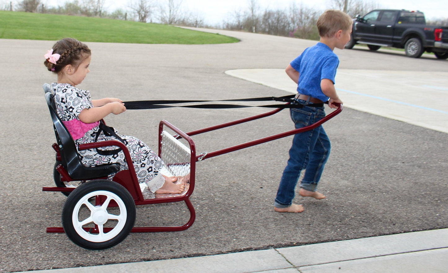 AmishLollipop Express Double Stroller-Cart Combo, Play Harness Included