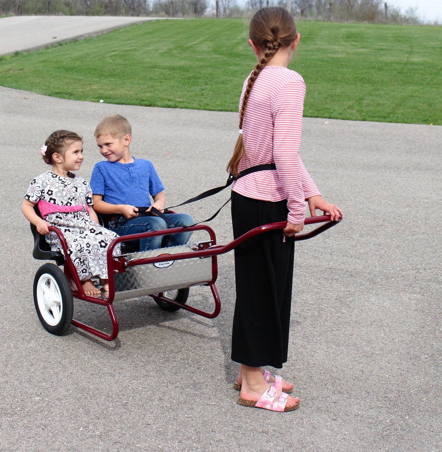 AmishLollipop Express Double Stroller-Cart Combo, Play Harness Included