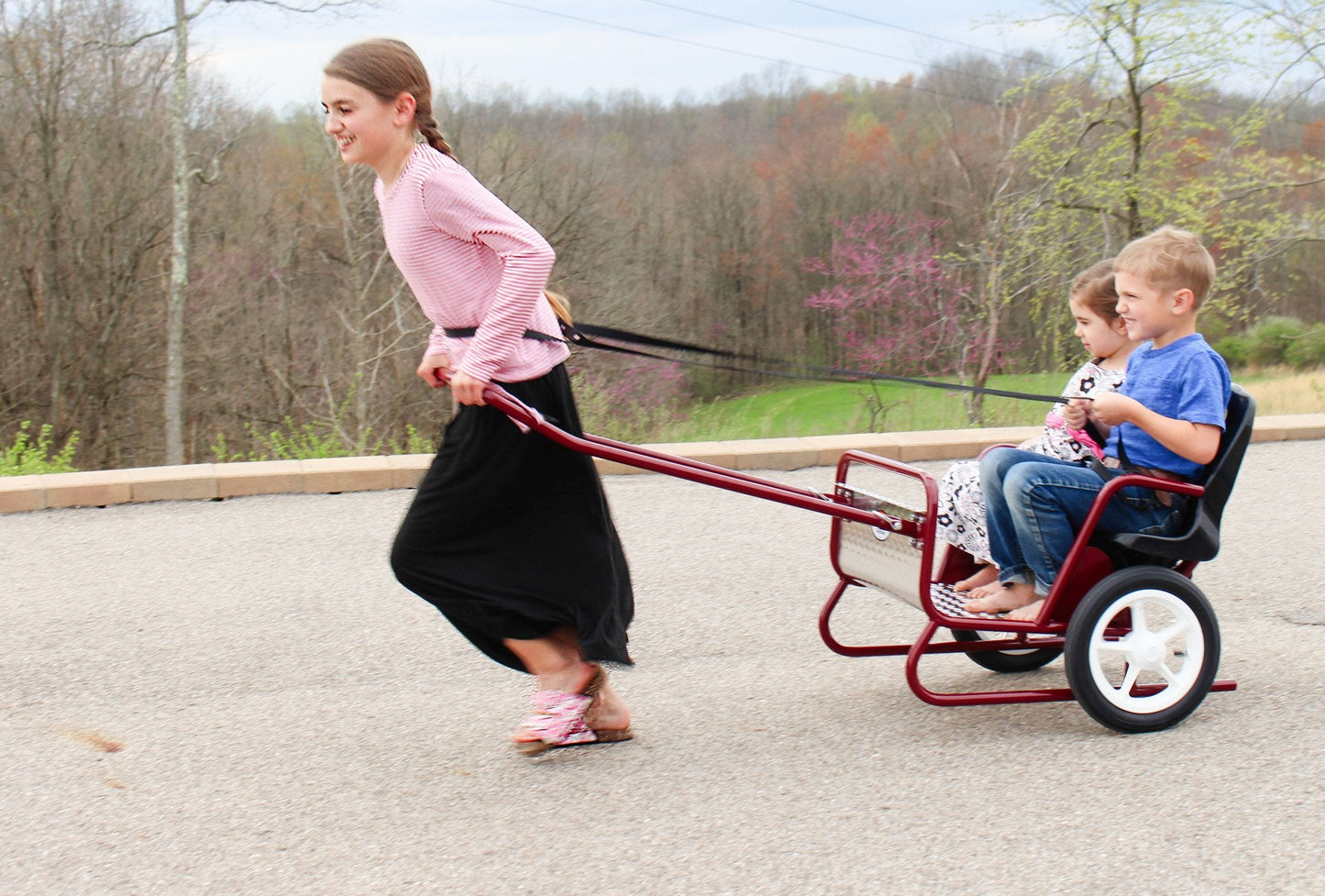 AmishLollipop Express Double Stroller-Cart Combo, Play Harness Included