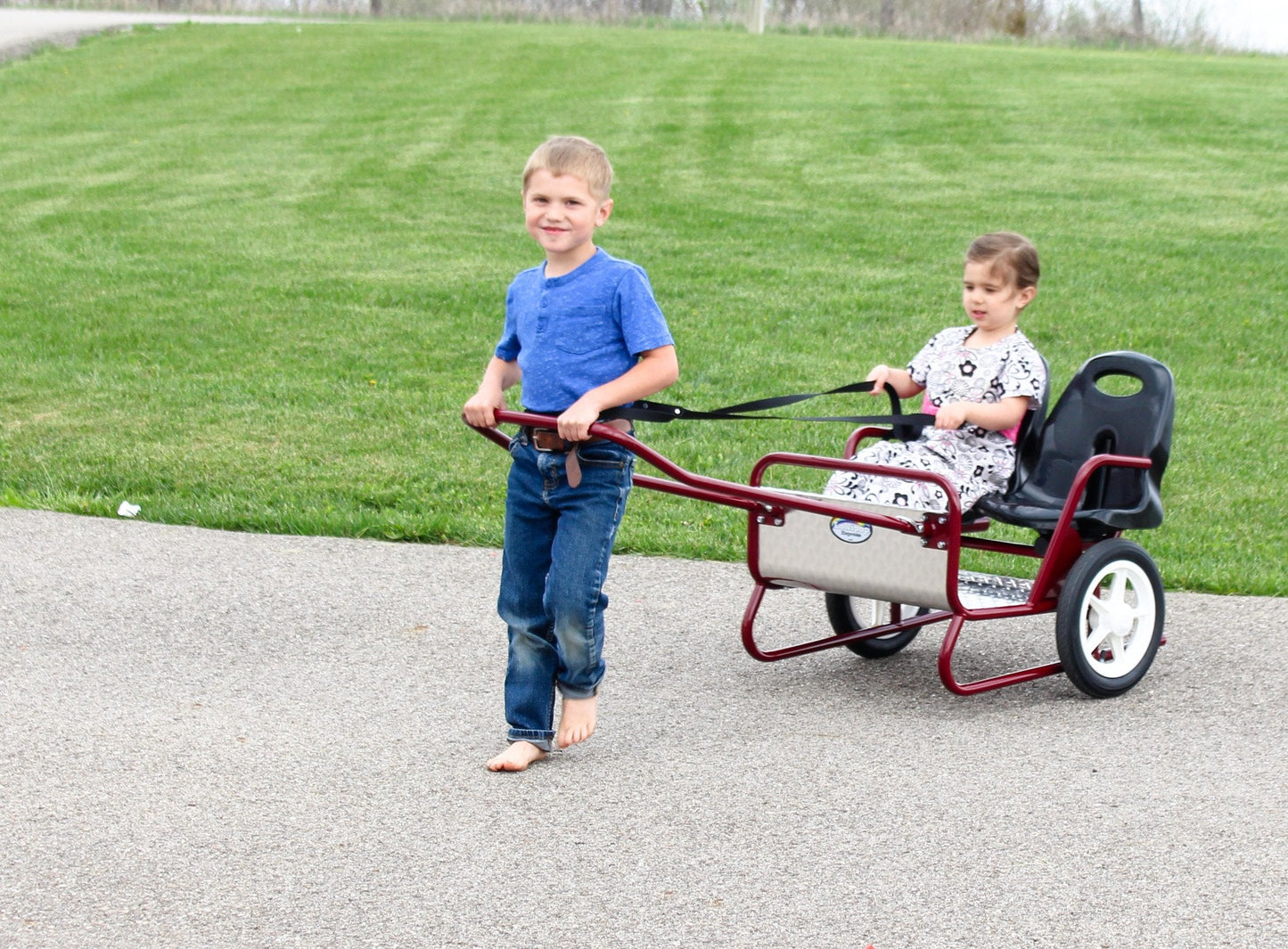 AmishLollipop Express Double Stroller-Cart Combo, Play Harness Included