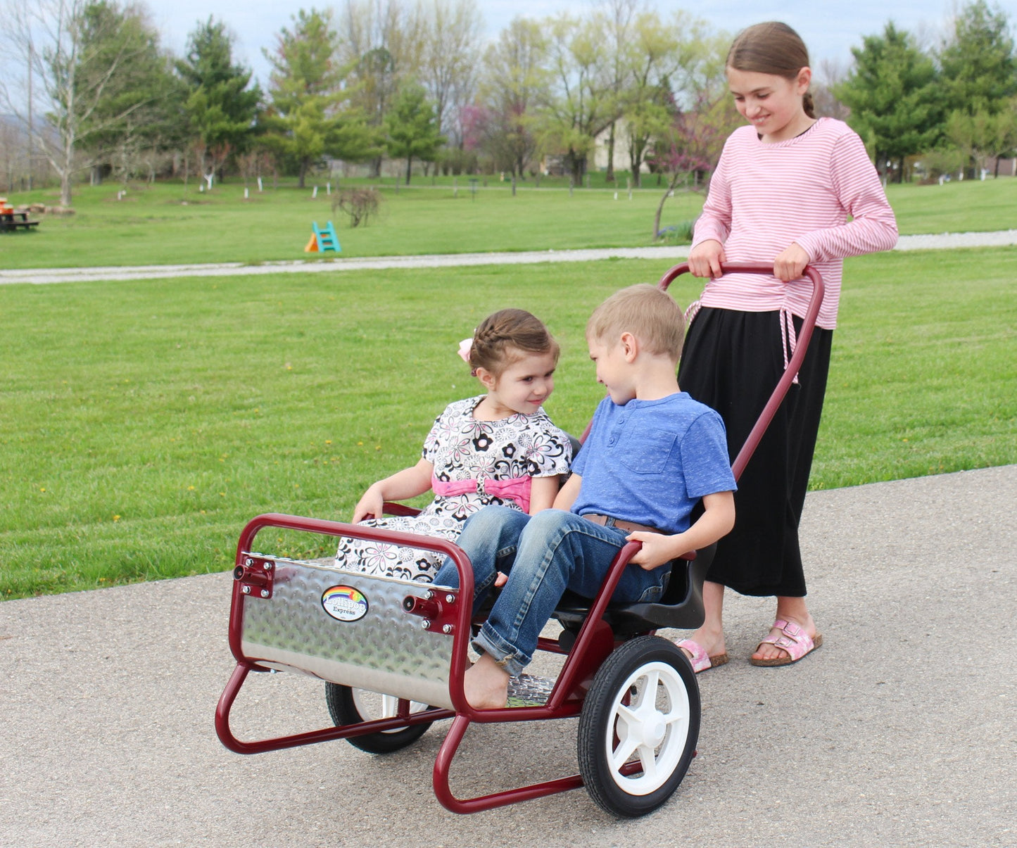 AmishLollipop Express Double Stroller-Cart Combo, Play Harness Included