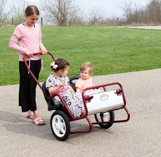AmishLollipop Express Double Stroller-Cart Combo, Play Harness Included